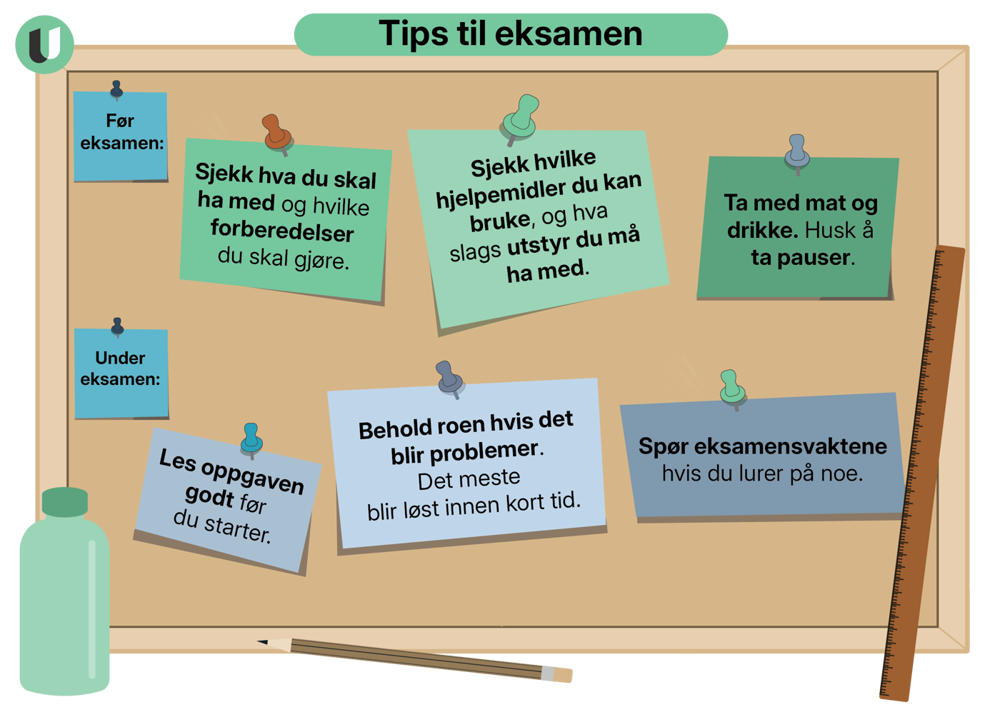 Tips til eksamen fra udir